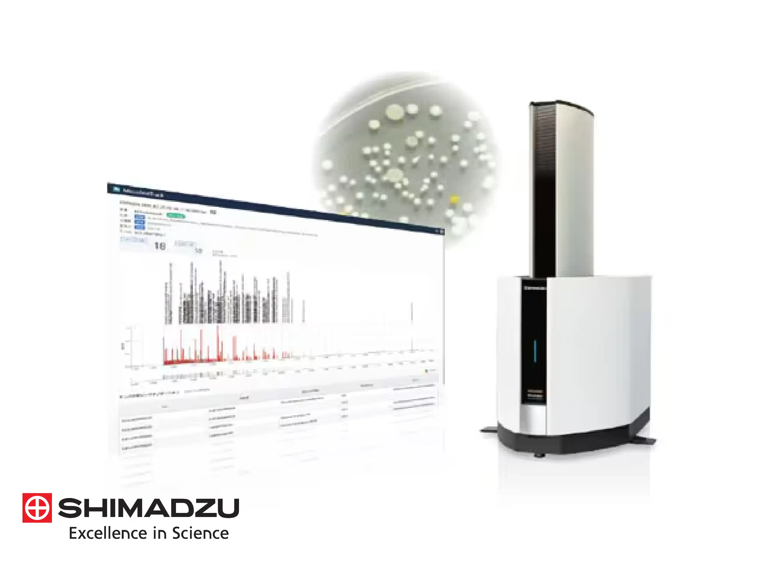 Shimadzu Microbial Identification Solutions
